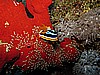 IMG_2041.JPG