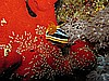 IMG_2042.JPG