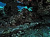 IMG_2045.JPG