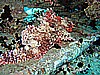 IMG_2047.JPG