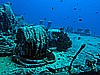 IMG_2050.JPG