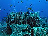 IMG_2052.JPG