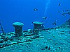 IMG_2054.JPG