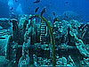 IMG_2062.JPG