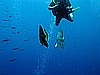 IMG_2067.JPG
