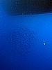 IMG_2070.JPG