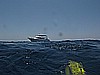 IMG_2072.JPG