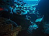 IMG_2093.JPG