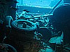 IMG_2094.JPG