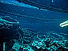 IMG_2100.JPG