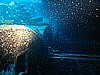 IMG_2102.JPG