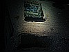 IMG_2103.JPG
