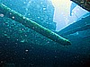 IMG_2111.JPG