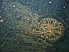 IMG_2112.JPG