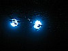 IMG_2130.JPG