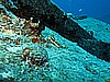IMG_2134.JPG