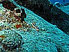 IMG_2135.JPG