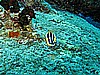 IMG_2136.JPG