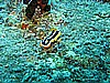 IMG_2137.JPG