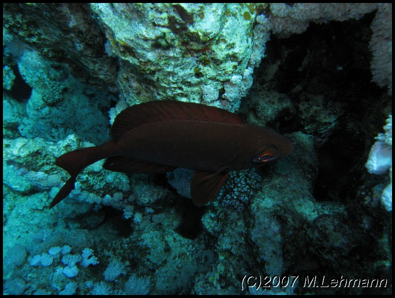 IMG_2166.JPG