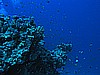 IMG_2138.JPG