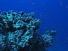IMG_2139.JPG