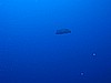 IMG_2146.JPG