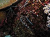 IMG_2149.JPG