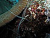 IMG_2150.JPG