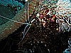 IMG_2151.JPG