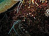 IMG_2152.JPG