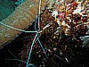 IMG_2153.JPG
