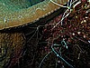 IMG_2154.JPG