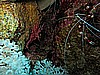 IMG_2156.JPG