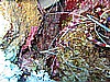 IMG_2159.JPG