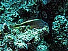 IMG_2164.JPG