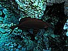 IMG_2166.JPG