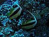 IMG_2169.JPG