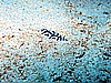 IMG_2172.JPG