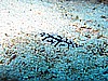 IMG_2174.JPG