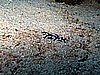 IMG_2178.JPG