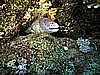 IMG_2181.JPG