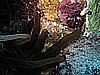 IMG_2186.JPG