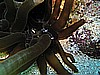 IMG_2187.JPG