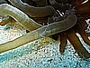 IMG_2188.JPG