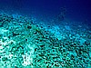 IMG_2189.JPG