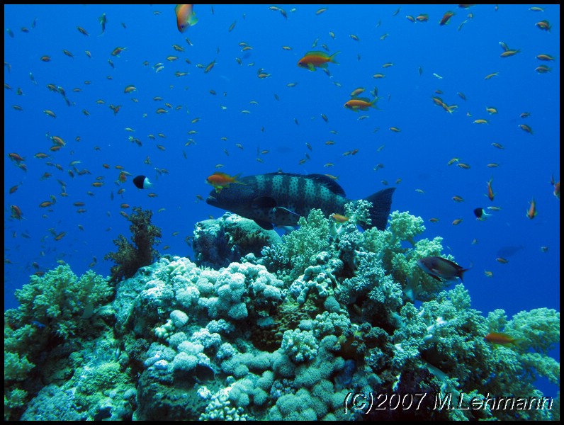 IMG_2217.JPG
