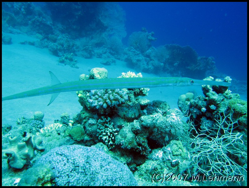 IMG_2260.JPG