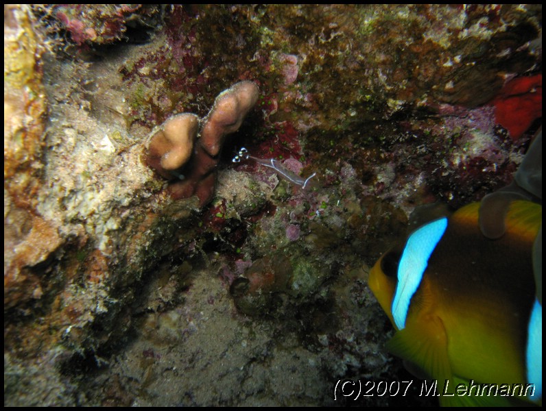 IMG_2273.JPG