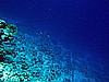 IMG_2192.JPG